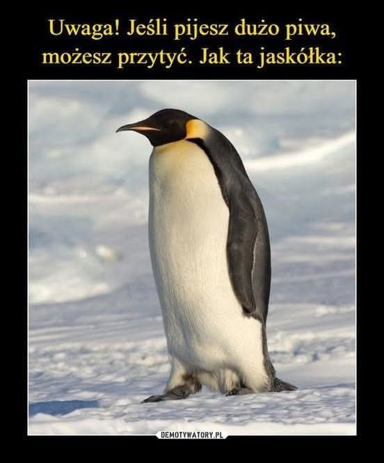 c015cc5d-3d70-4e1a-b70b-19ece202a1f6