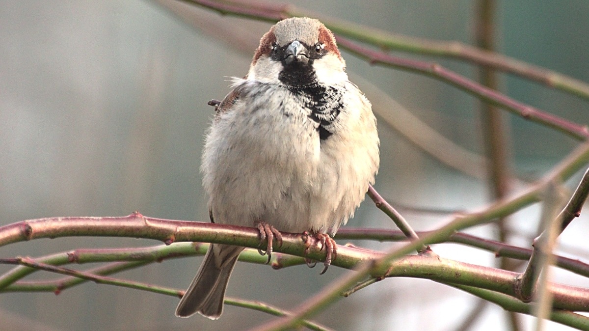 cc1e1d5e-226e-49c2-915a-e885ff70e785