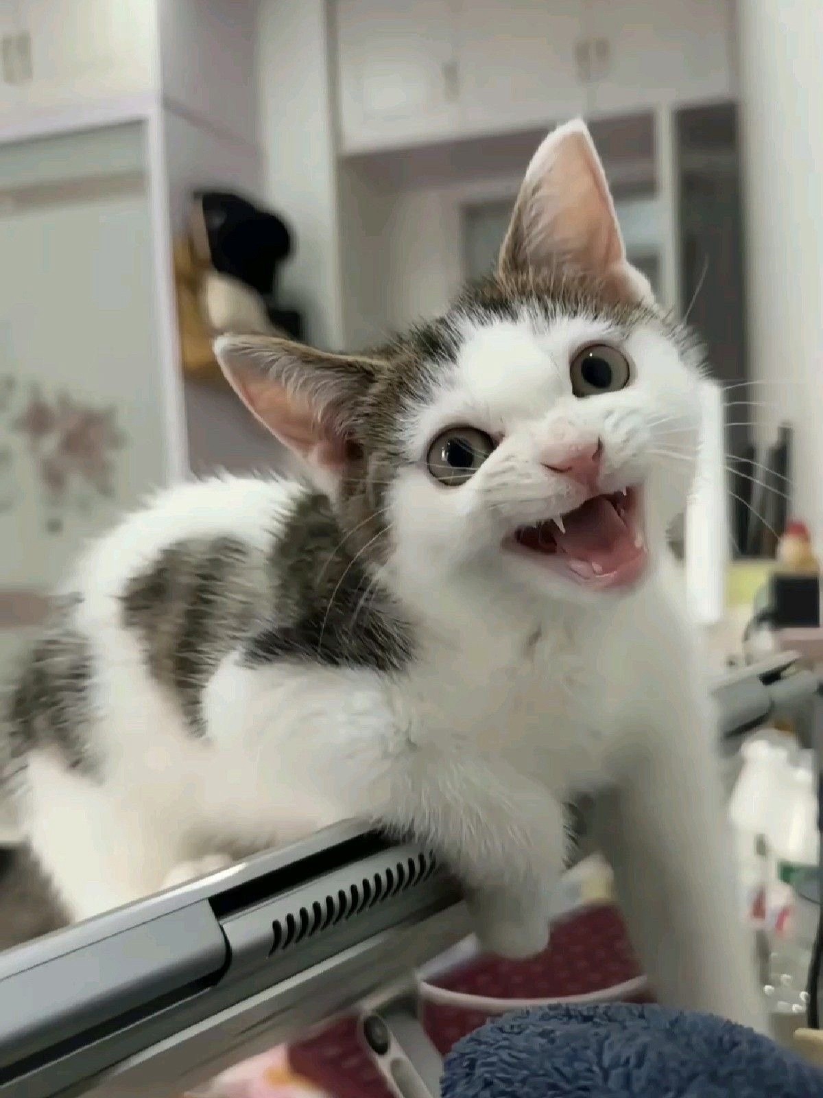 f358b6ba-0af5-481d-87a5-3584a7c12fb1