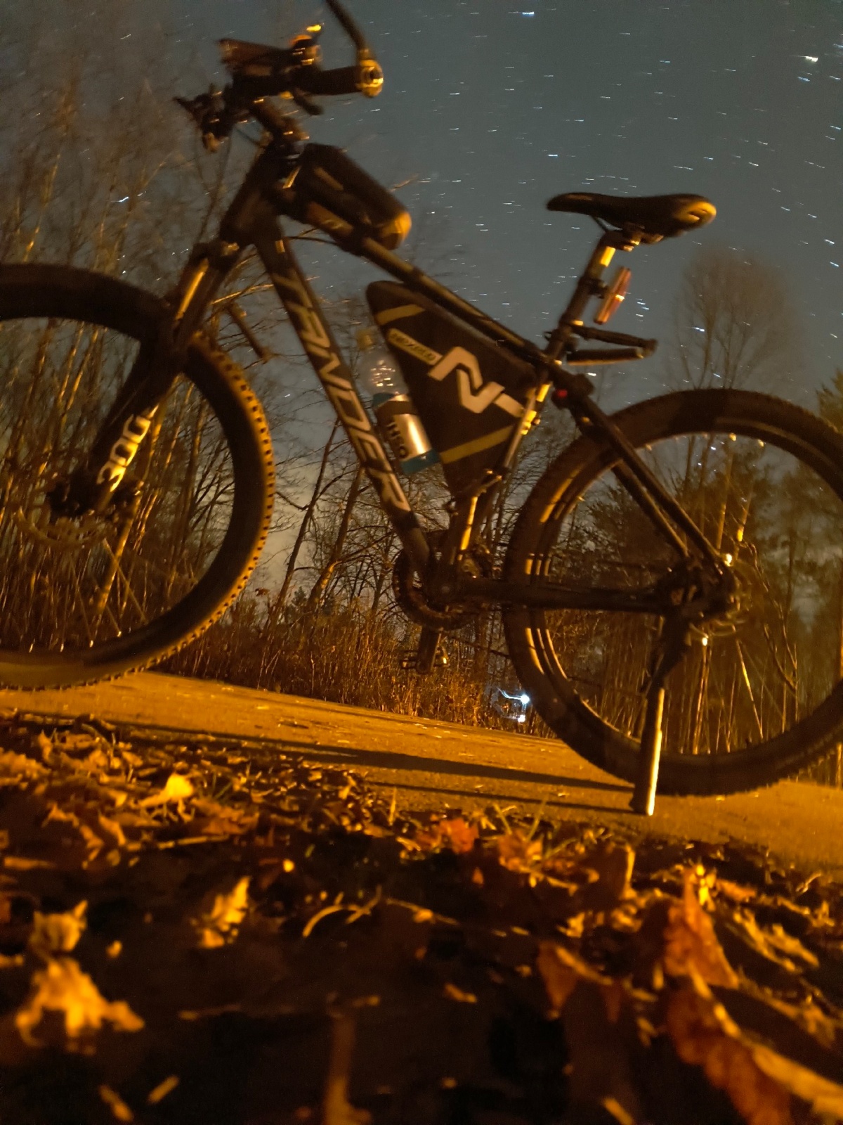 21dec582-6b33-40e5-9c3f-bbac8b1d0d25