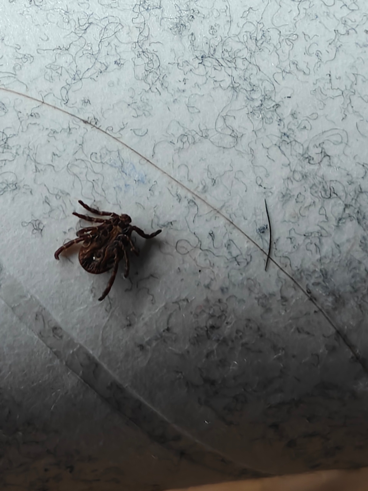 27ecd768-9098-4ecc-9757-77bc624dd4bd