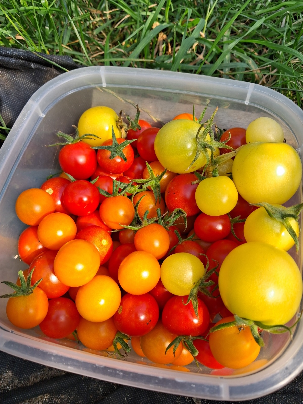 ca0ba2d7-56bf-4420-9cf1-c0bb309e0447