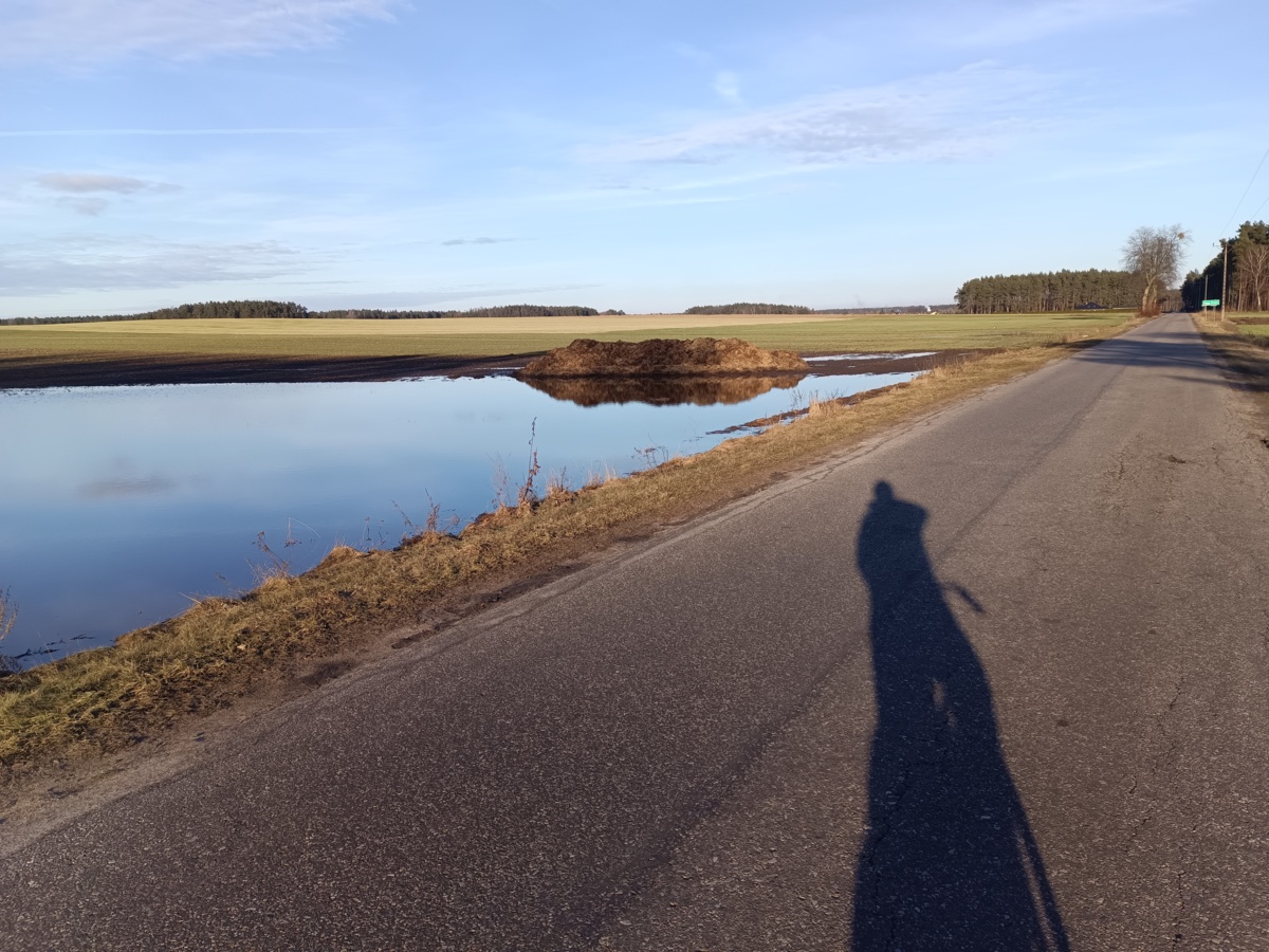 1c6a58f4-c7fa-4c02-90a5-fddc5ab8b9b8