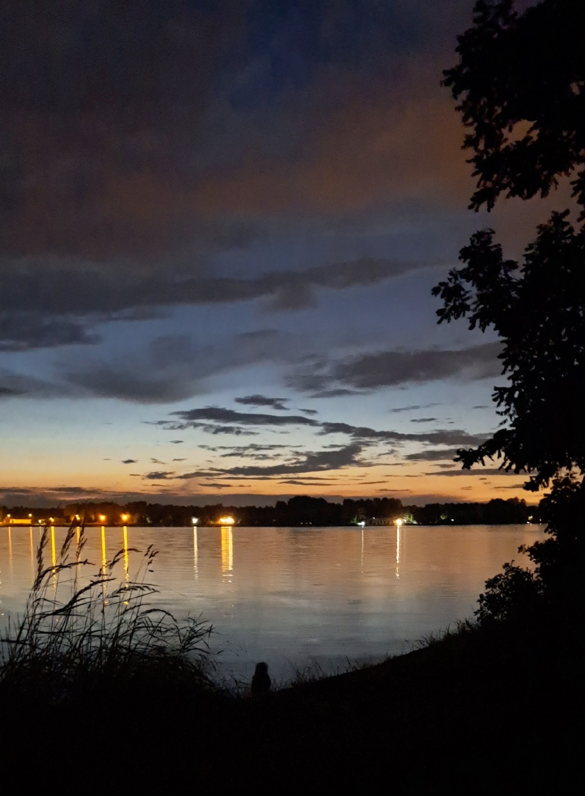 c42ed0c1-0b8a-47a9-a9ed-12e7ff8e933b