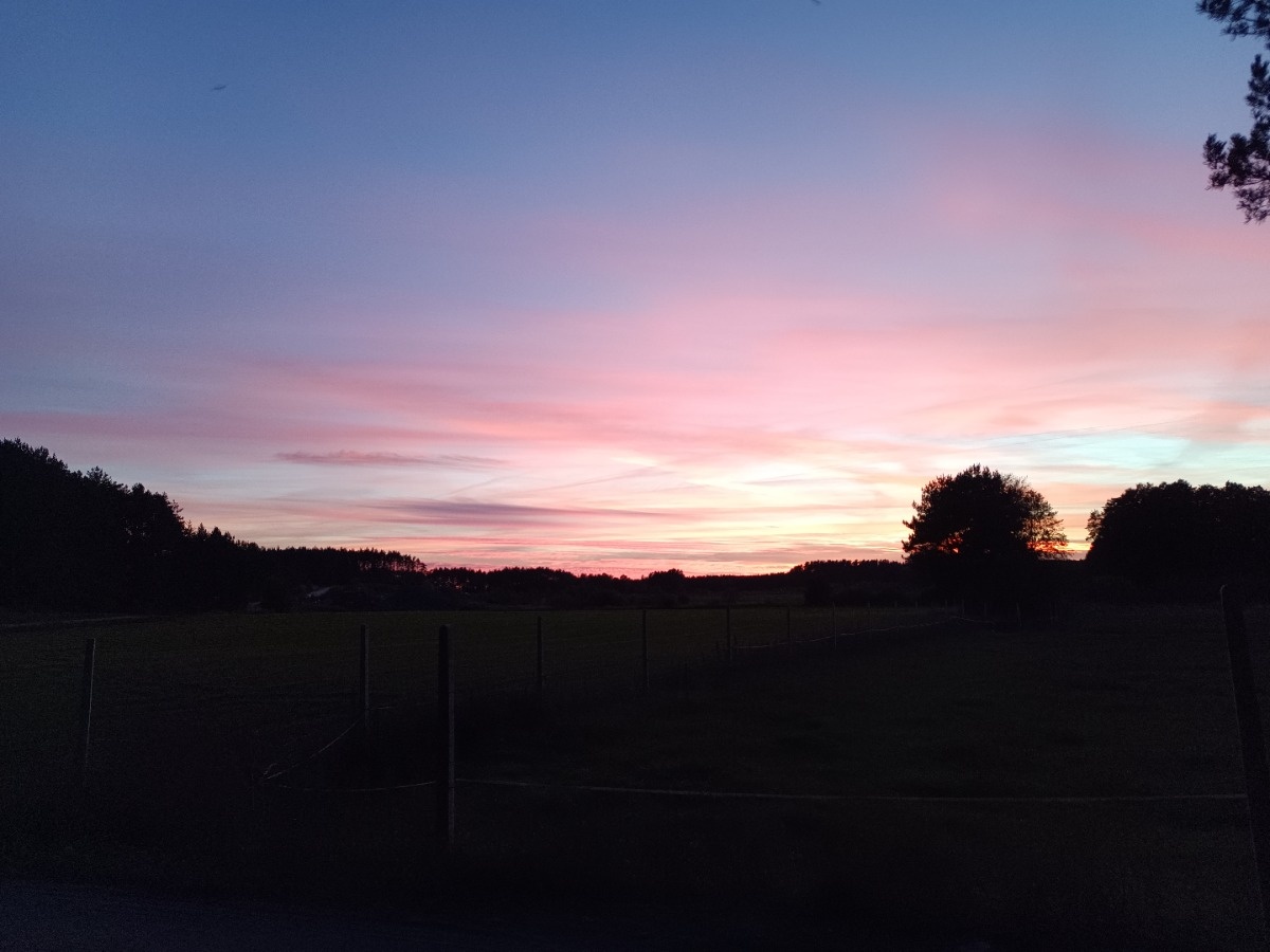 80c4846d-e9dc-4ce2-8401-7c68a5b44794