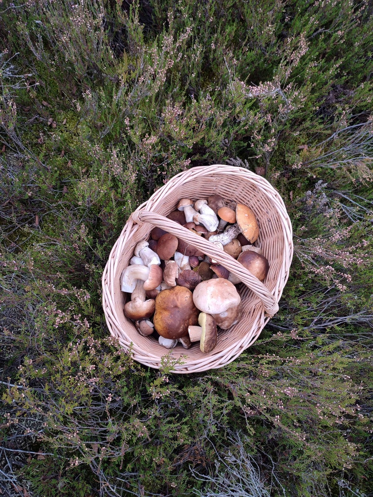 cb4ca582-3cc5-45fb-90d9-ad93f2bffe9f