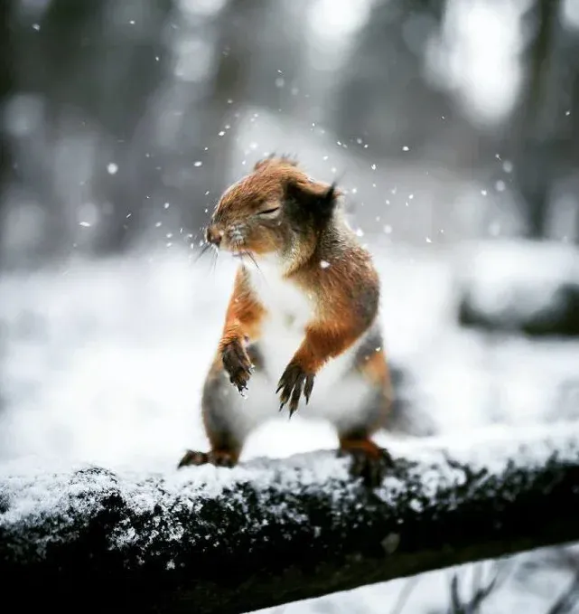 6edad5cb-2512-4597-8b8a-29cd3ed8bf44