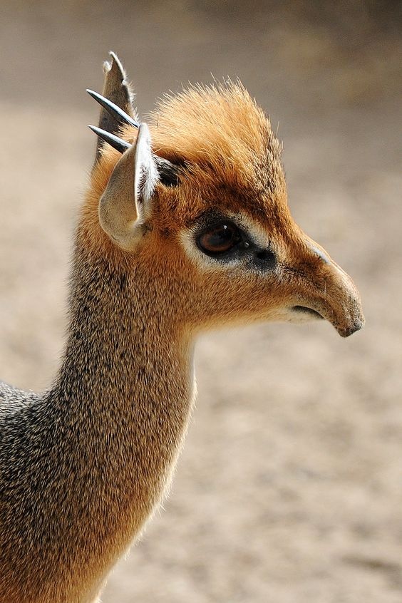 7847adfa-549e-4379-bd0a-d3f1c7758261