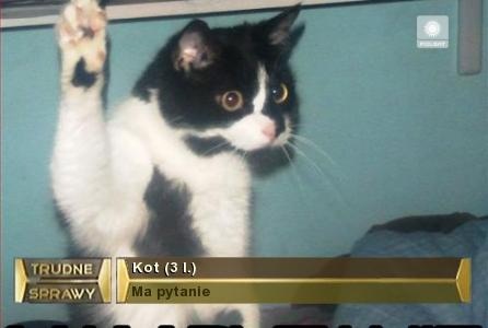 82a44917-18ae-4963-8320-a86ff6829d93