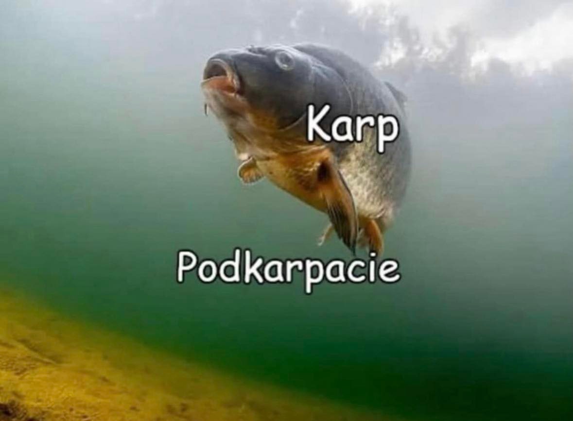 b6ccfb61-7bf1-4fba-b1f8-5bfd903ffc62