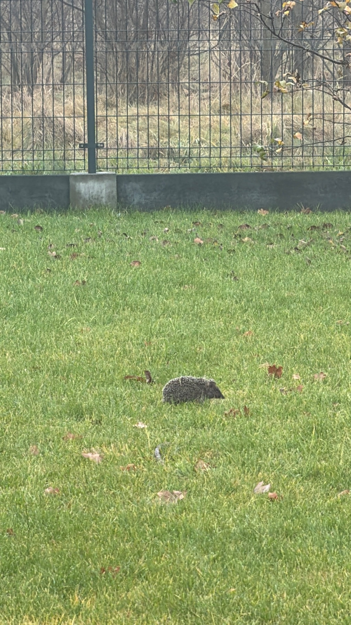 aeb1cef0-cea4-44c7-a194-ede8caab45e8