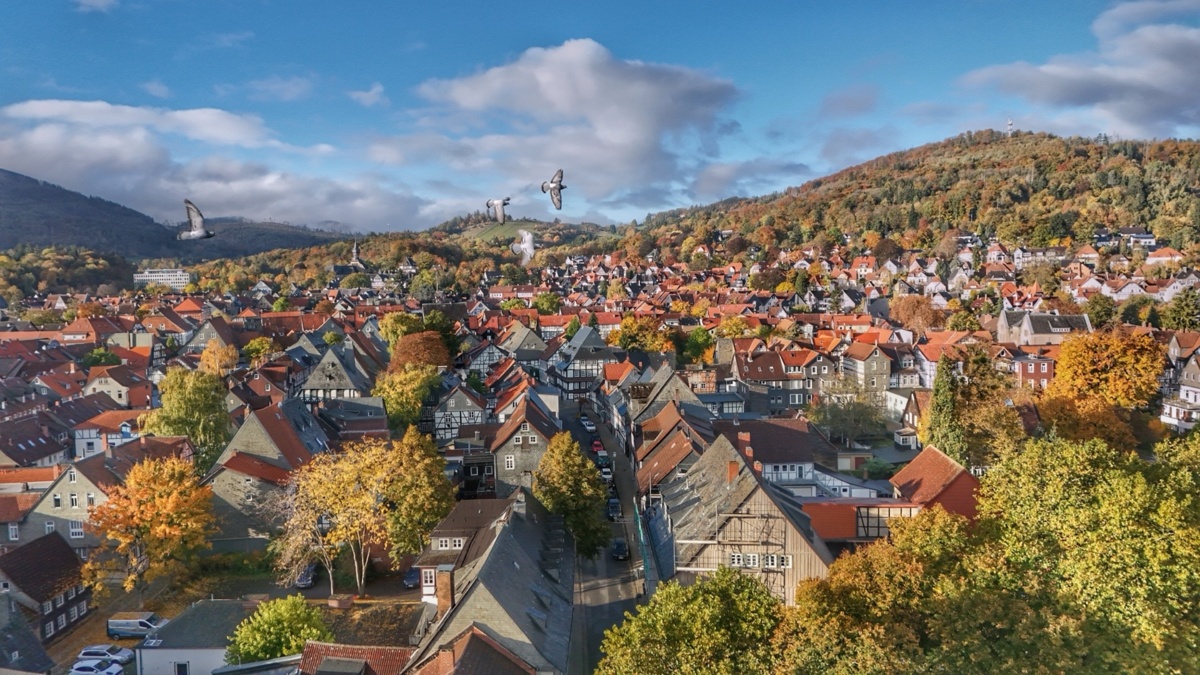 193c1d94-ff3b-471e-bff7-25c77679efad