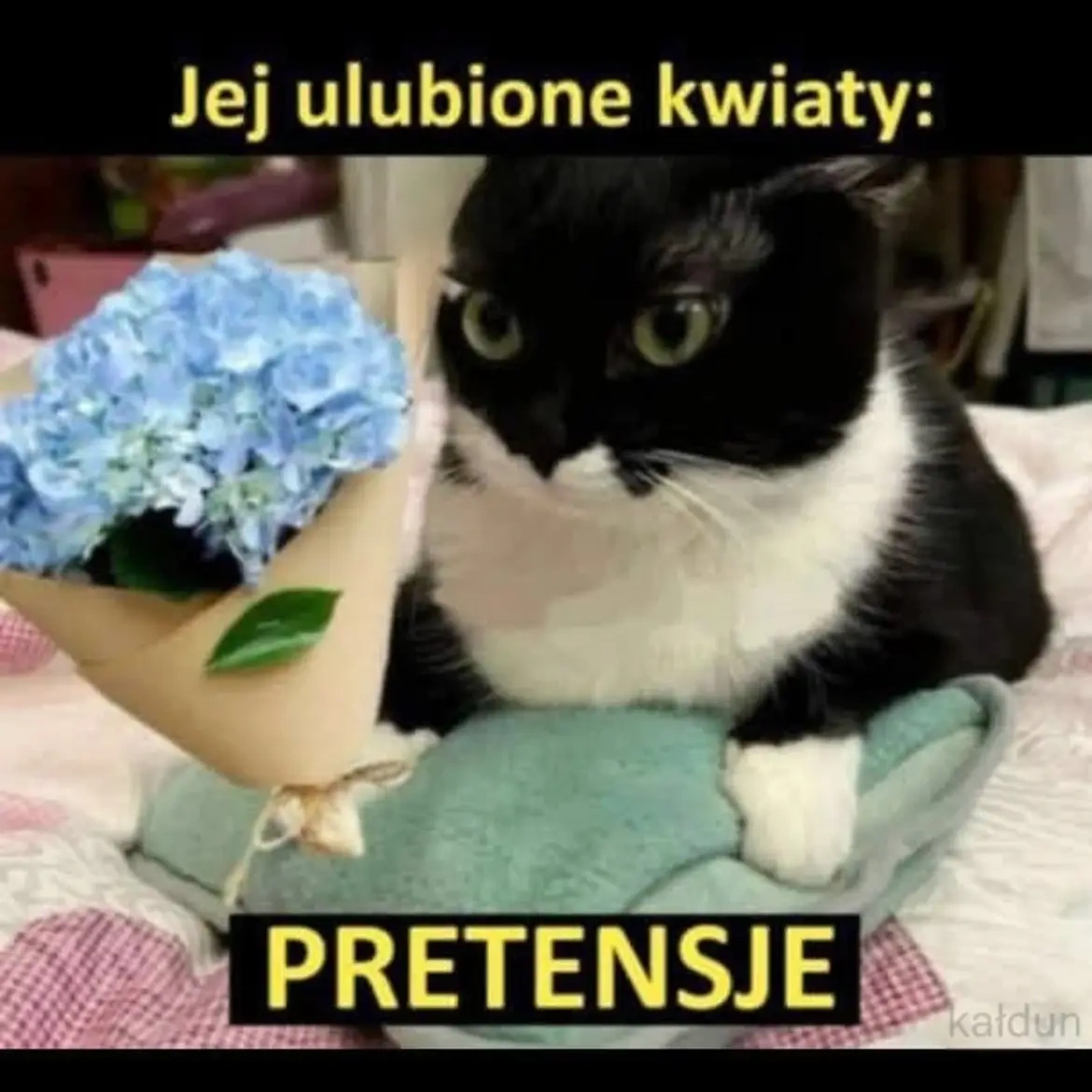 75a7899f-383e-4a34-84ea-114f4a64128c