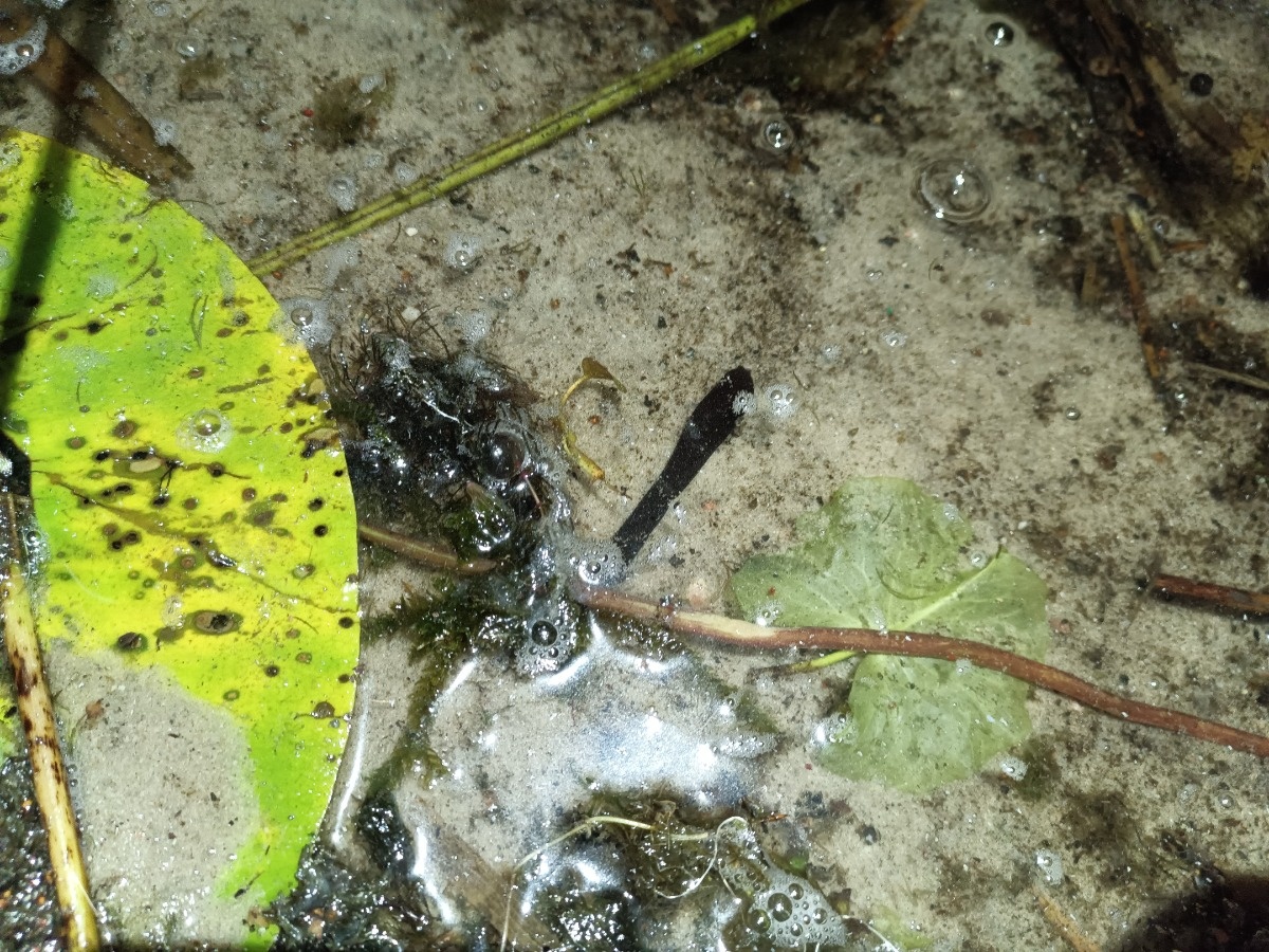 da463d75-14b4-488a-bf5f-f43d17223a12