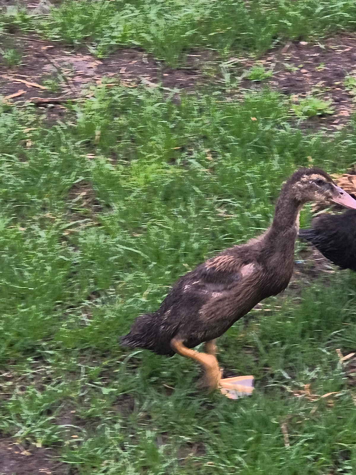 8458cd22-739c-42a6-990e-a94059521c67