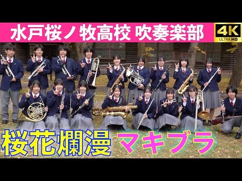 Ibaraki Prefectural Mito Sakuranomaki High School, Makibura - History Museum Ginkgo Festival Prefectural Citizens' Day Concert, 2025-11-13