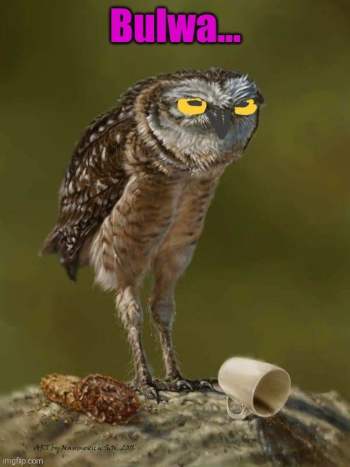 6458aed4-483f-495b-b132-e4cc90657d72