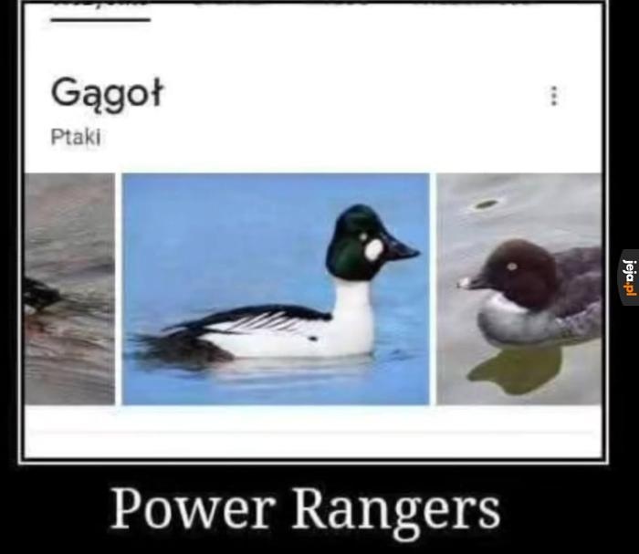 9a183308-cd4e-4a58-9d7c-99960c190149