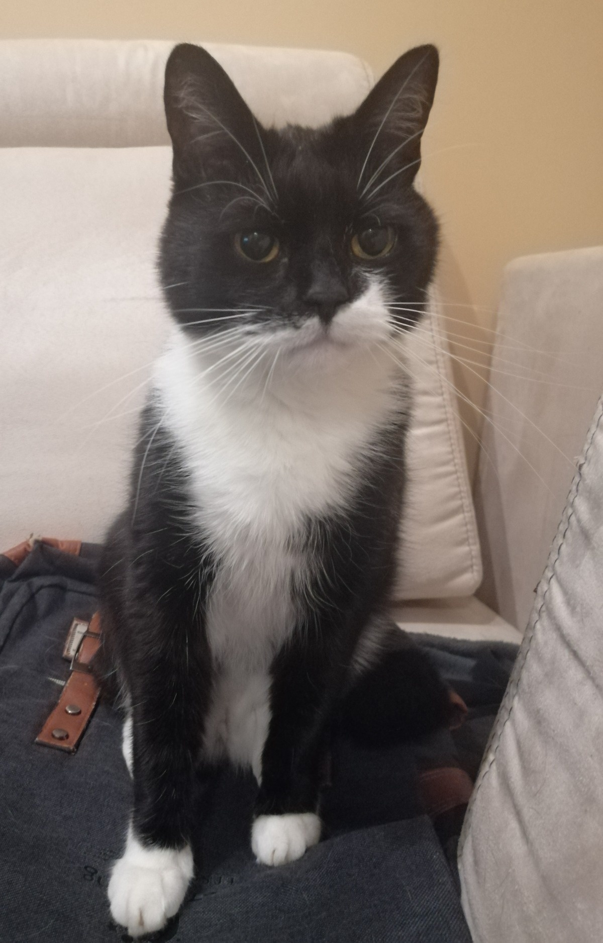 f424f8e8-9bb2-4304-8fbb-cfe2197e377b