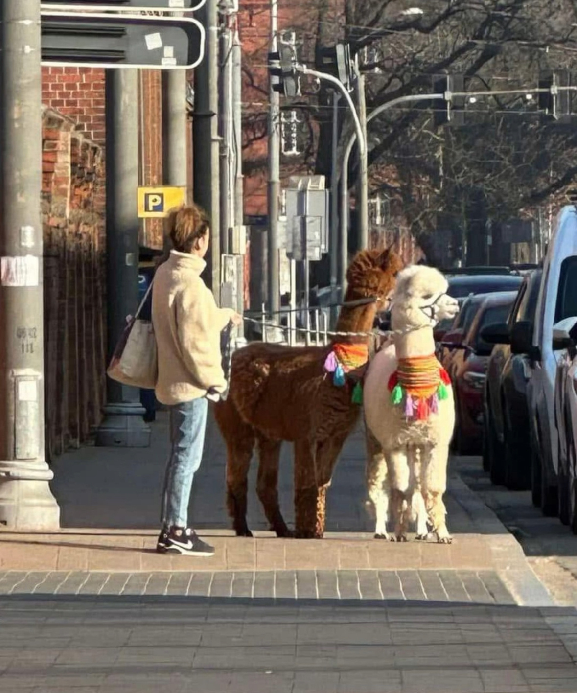 4b47fda0-fe2f-44b5-bb4b-a5fa867e557d