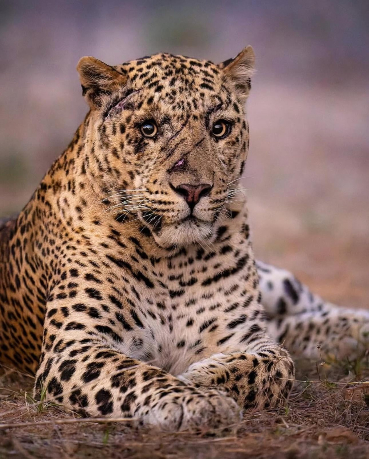 c54e9435-cb11-446d-a875-fda39f2a7f2f