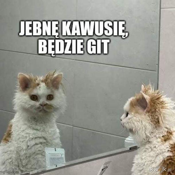 a7d2976b-8009-49bf-aa4c-cdec31be414d