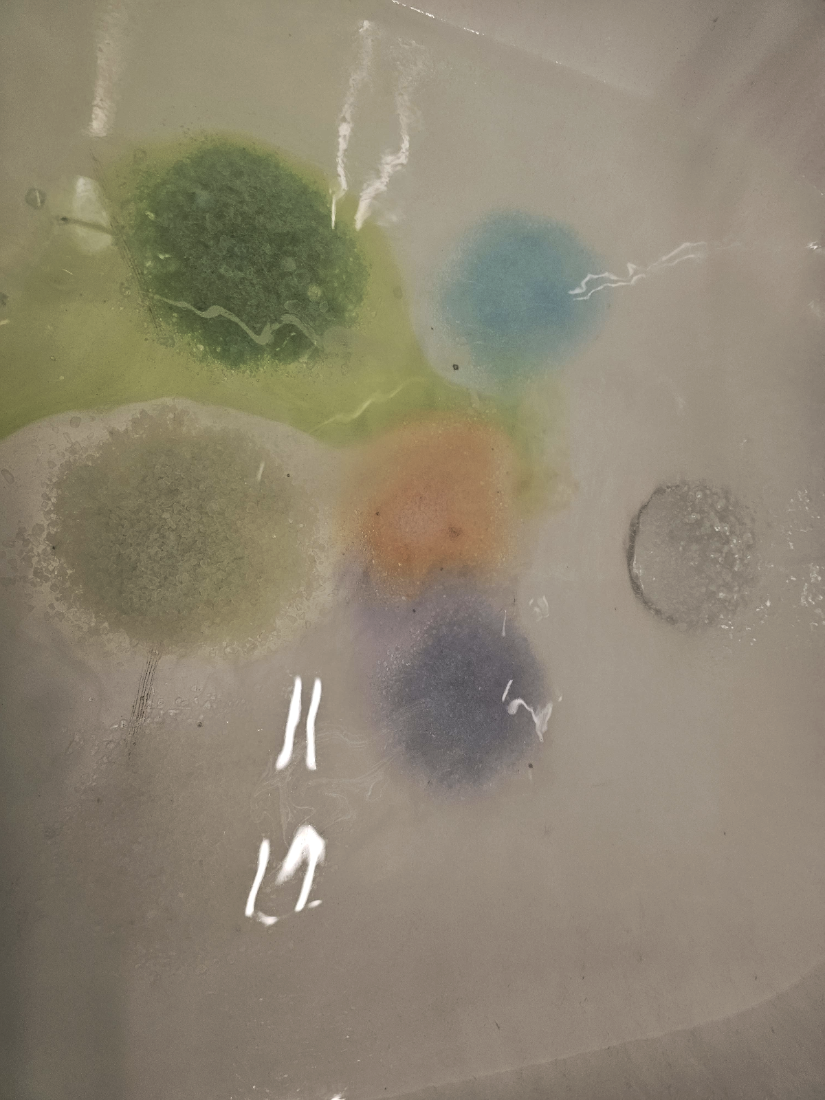 3a5b9a9f-fd63-49d3-8405-c39a71bbeb0b