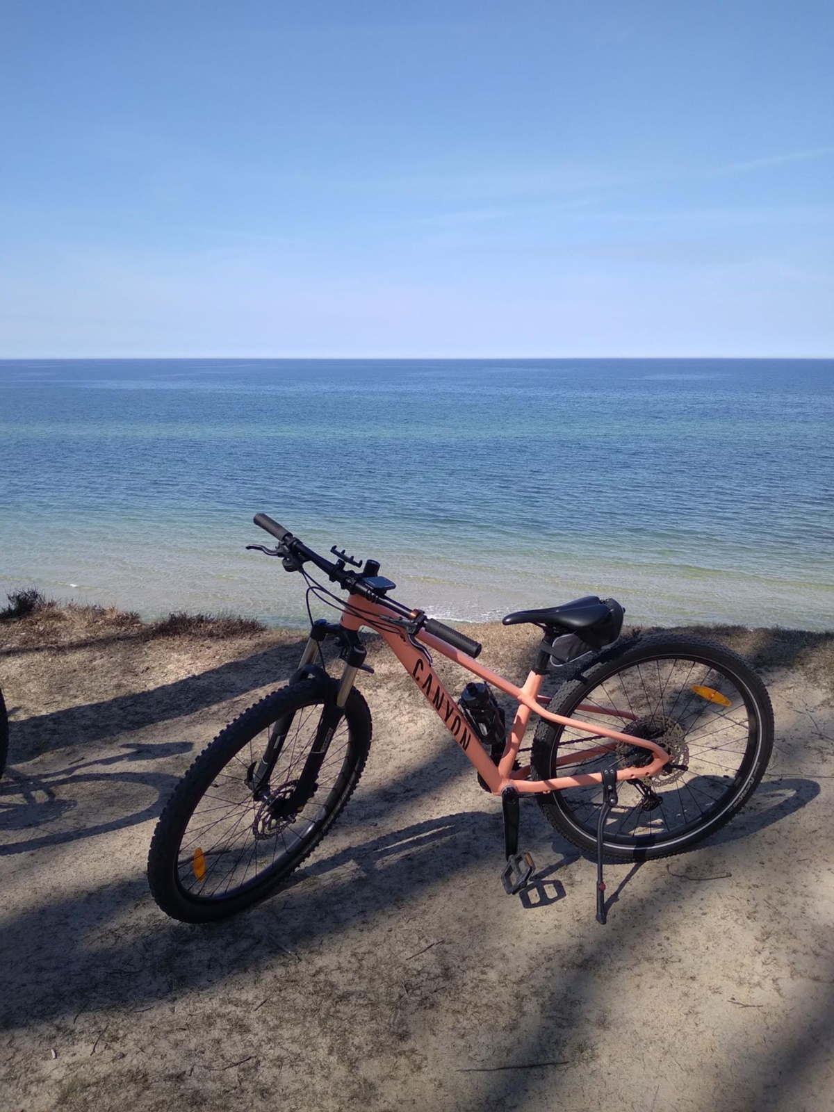 8d100cc8-1494-42cc-8a71-40d6e8236480