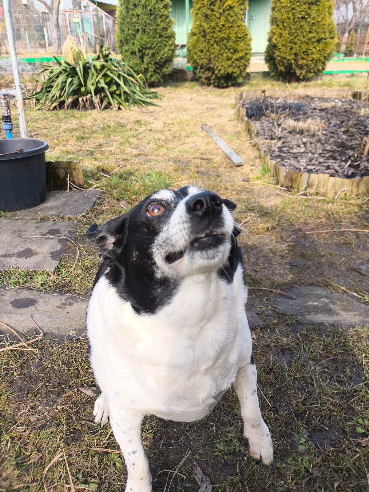 587ab0a3-3520-46c4-9966-97338ad1a207