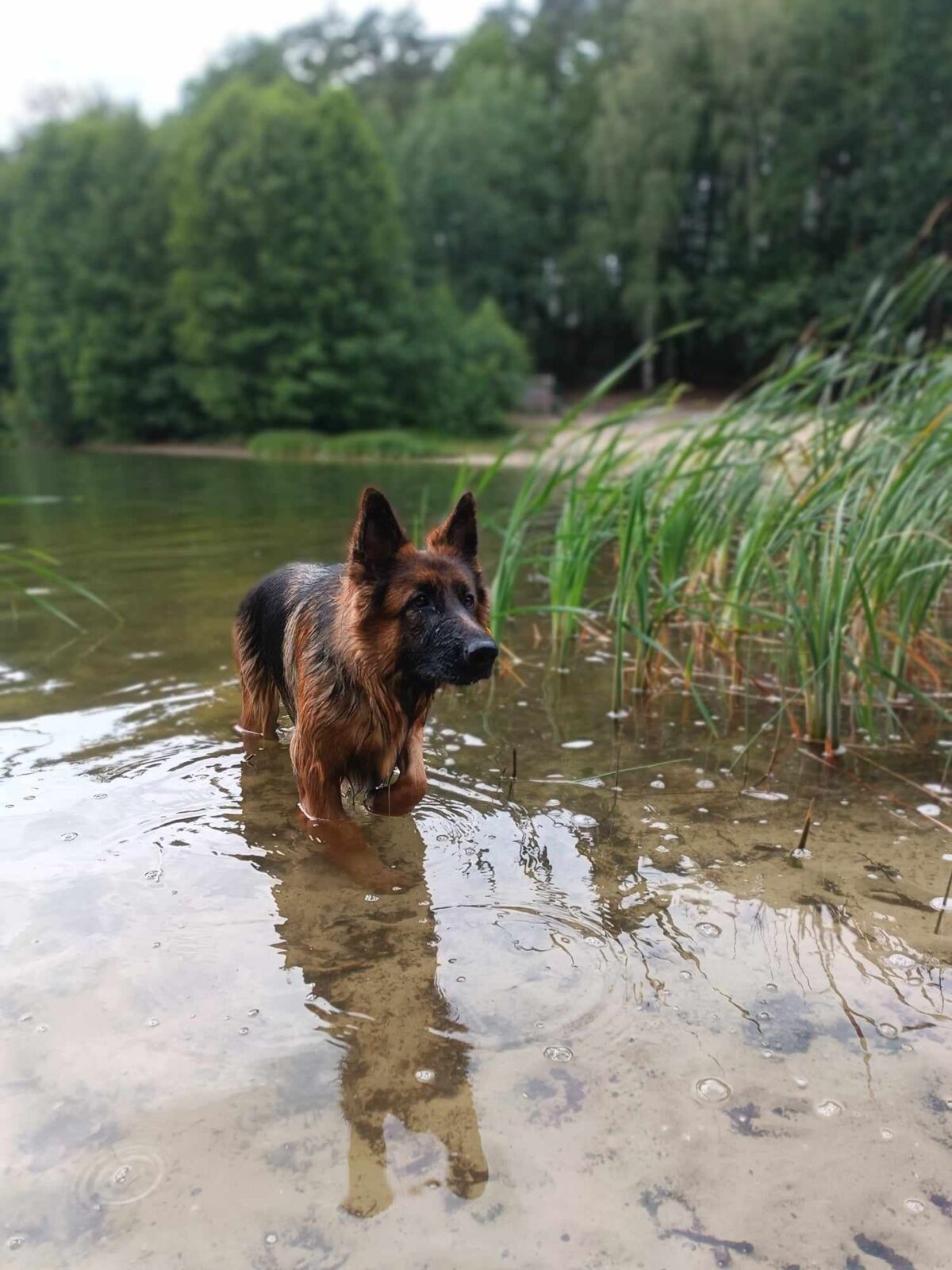 90fa572d-7e0a-4981-8e95-87a18ee74898