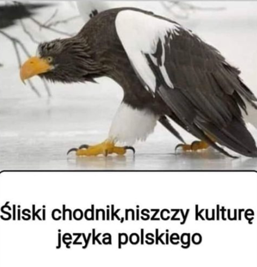 d60062bb-7d2f-4394-bc73-60f7bffe5384