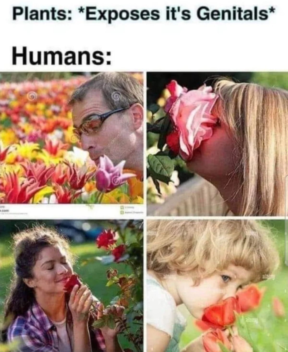 5bde69c7-d805-4c98-be75-a191f1691fbf