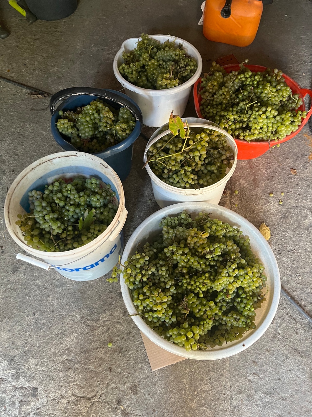 bda62529-d33b-413b-a341-b0d02e15005f