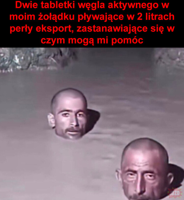 e0299377-fb39-4eea-8870-90281485f540