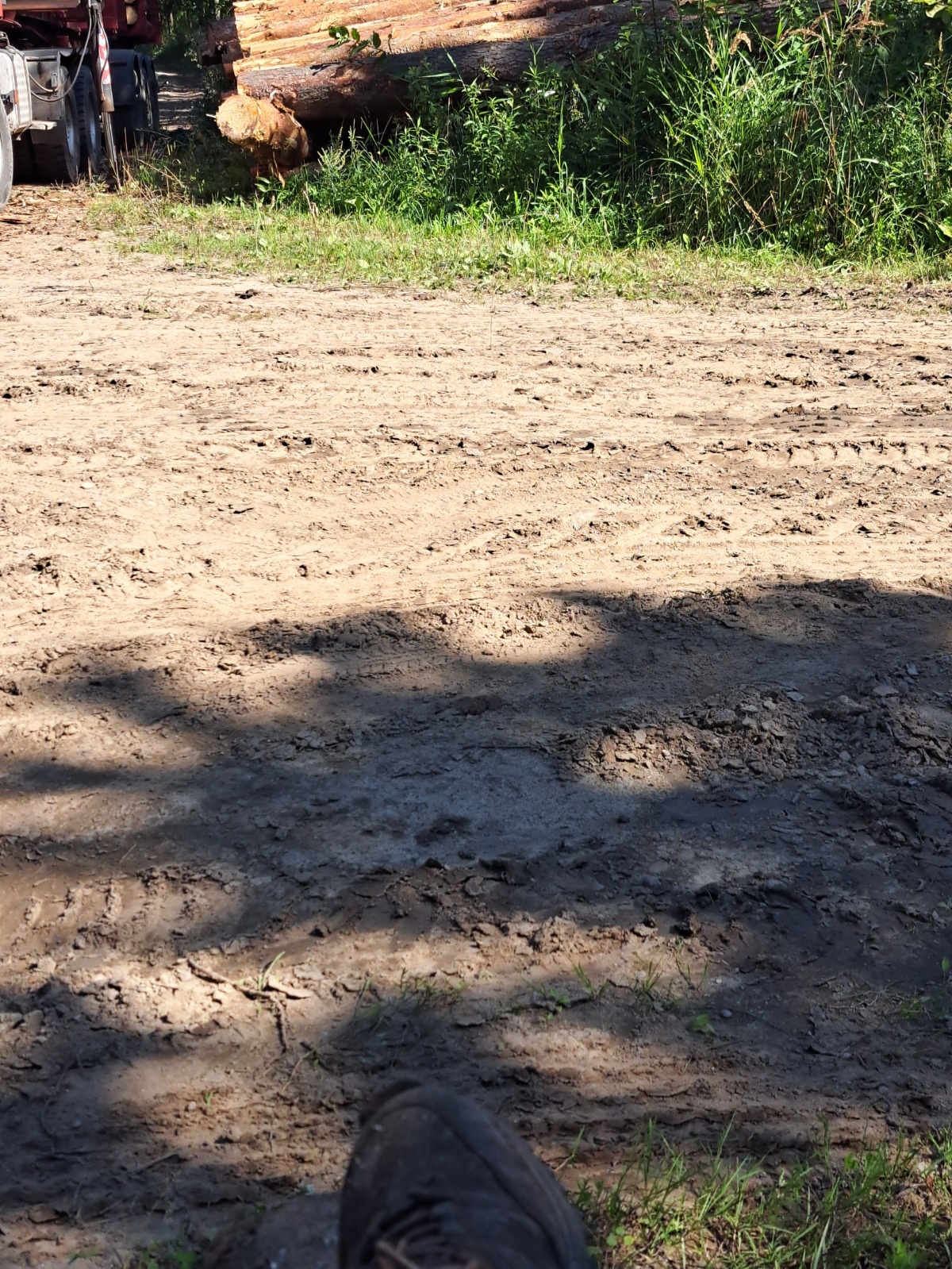 02737fdb-78ee-45ae-9c04-07c130dd81c3