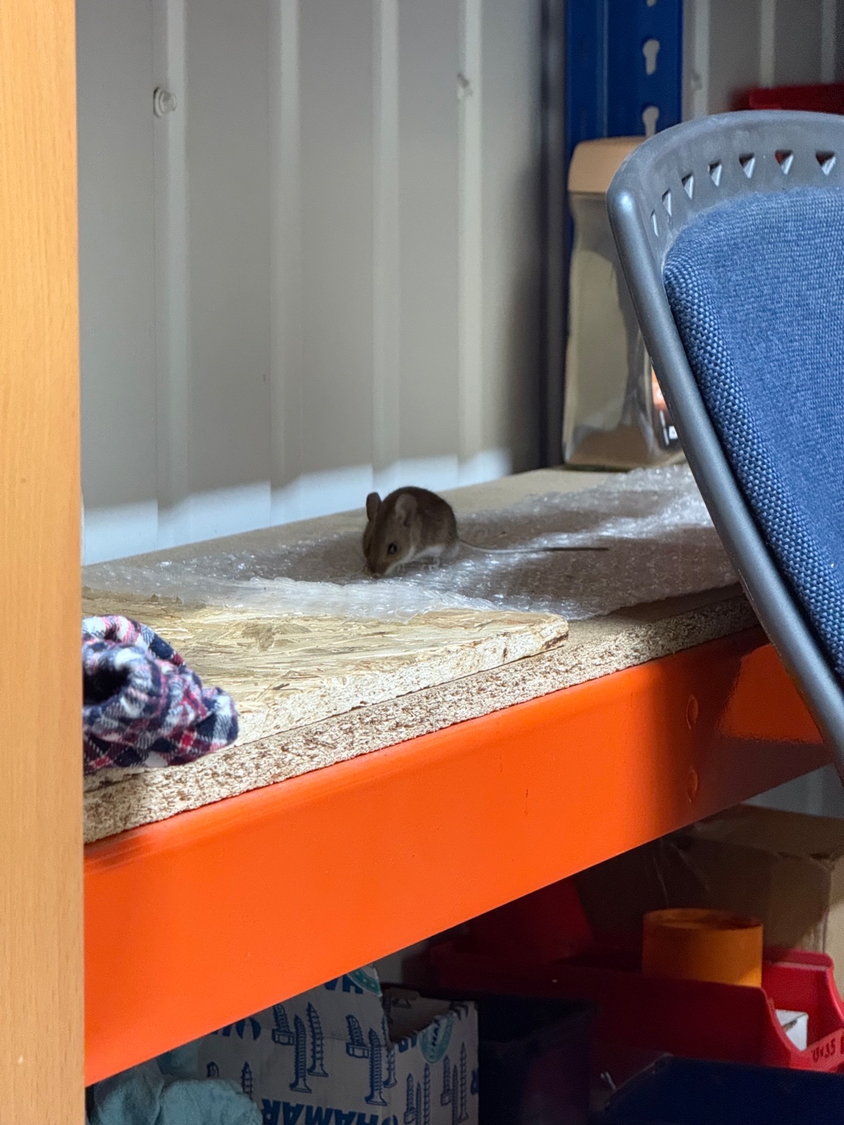 fcfbd87c-ecd9-4579-936b-9bc5f71d4f96