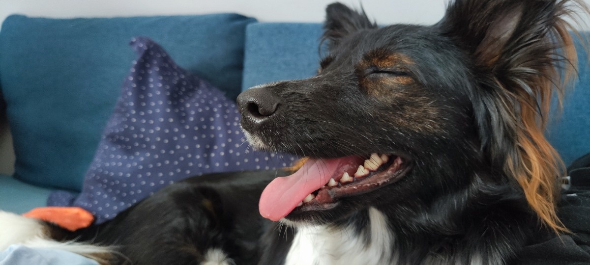 e6f7e24d-2c76-46d0-8168-e0d15805ea1b