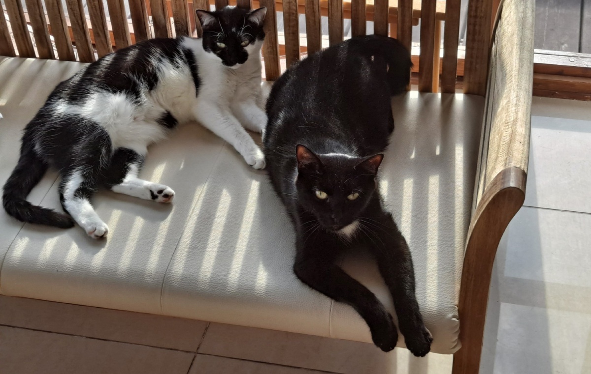 fec38d37-0c96-4cc6-a2f5-11e2f899f8d9