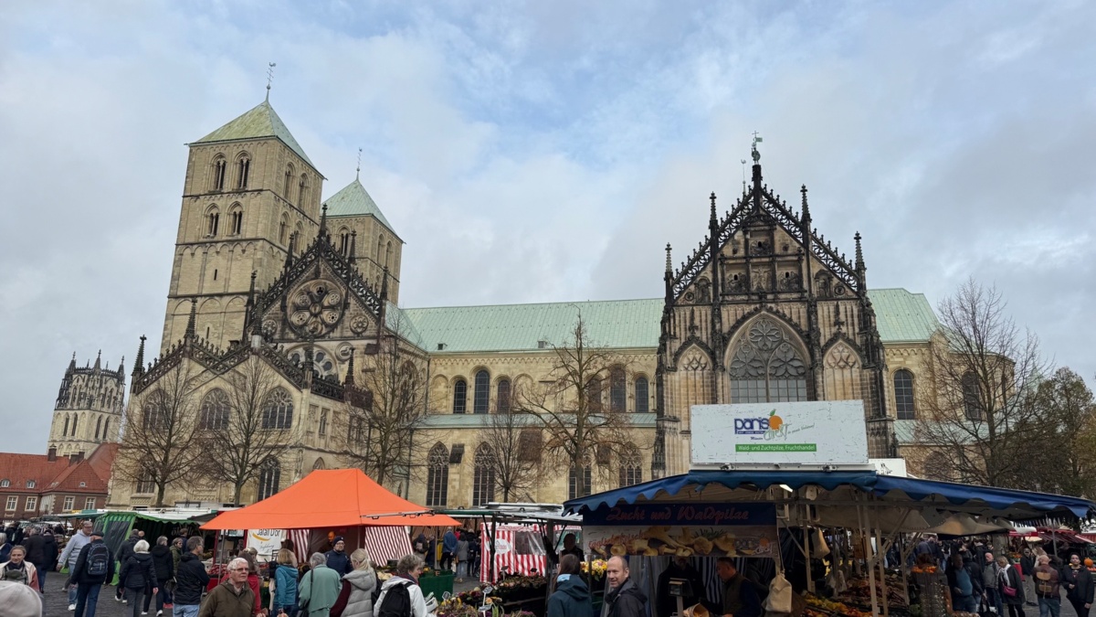 306c29b0-0be9-41bd-a5f5-d4c991a2080c