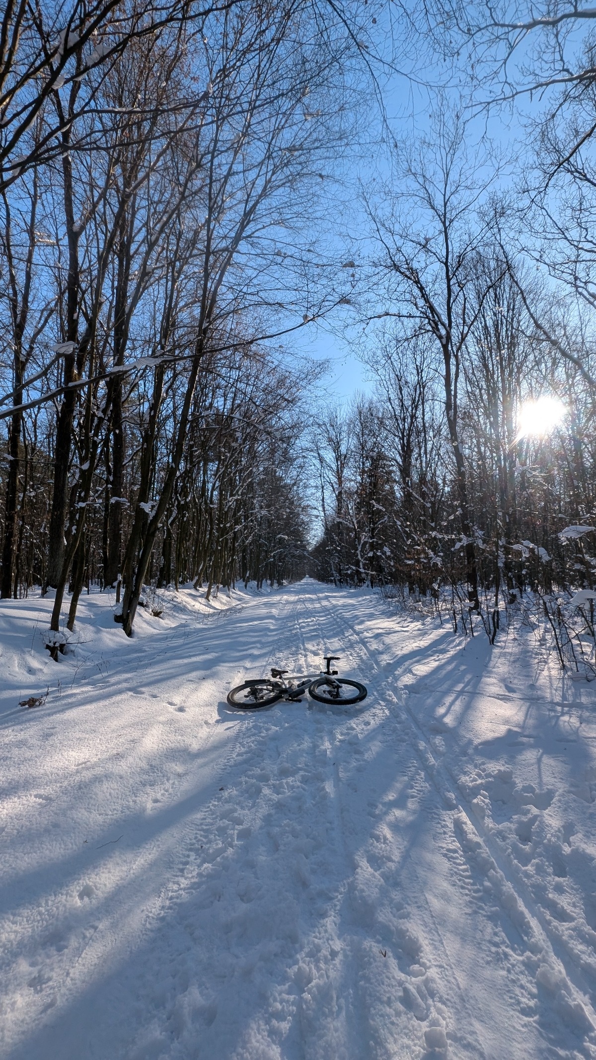 c2059424-d65e-49d0-b1d3-6d7bb86c11a8