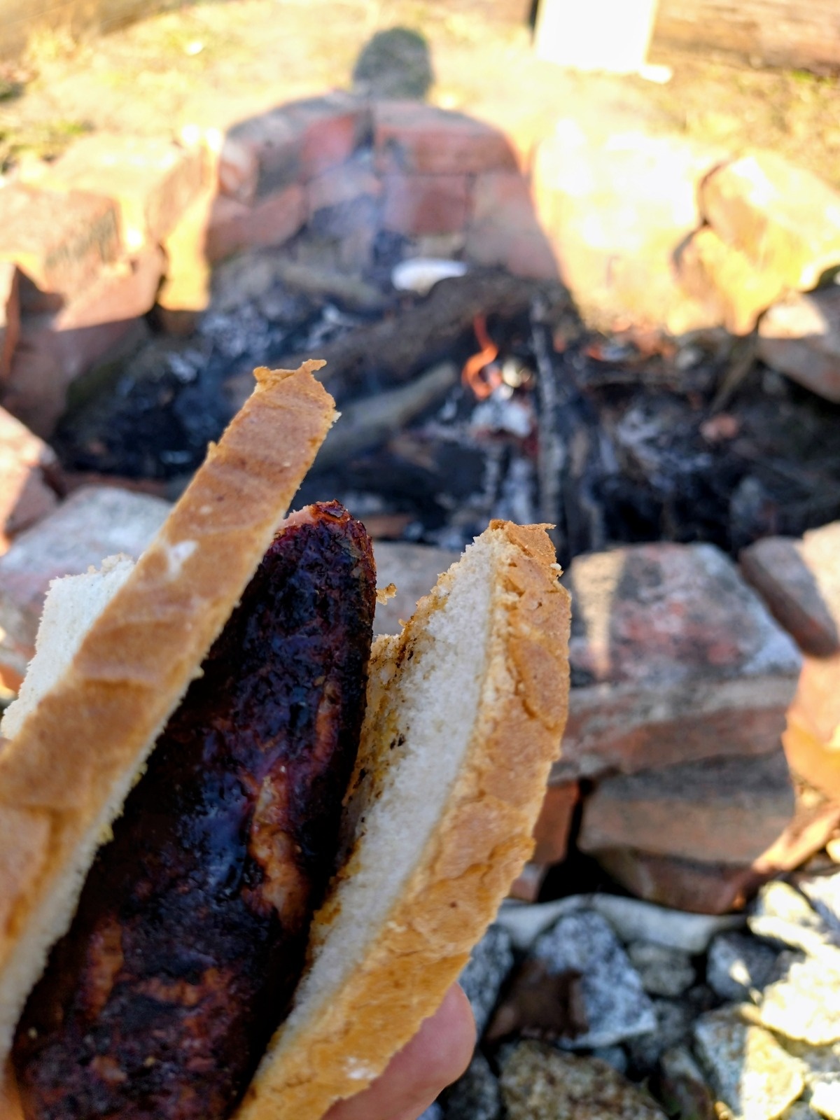 0980ad56-a460-46e7-99ec-659f20ae78b0