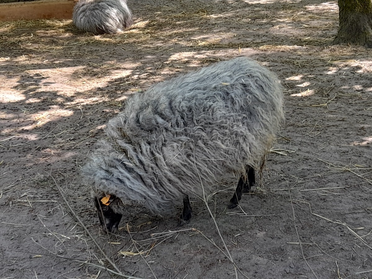 7d47dc72-7c15-4312-8dd6-4d36645f3354