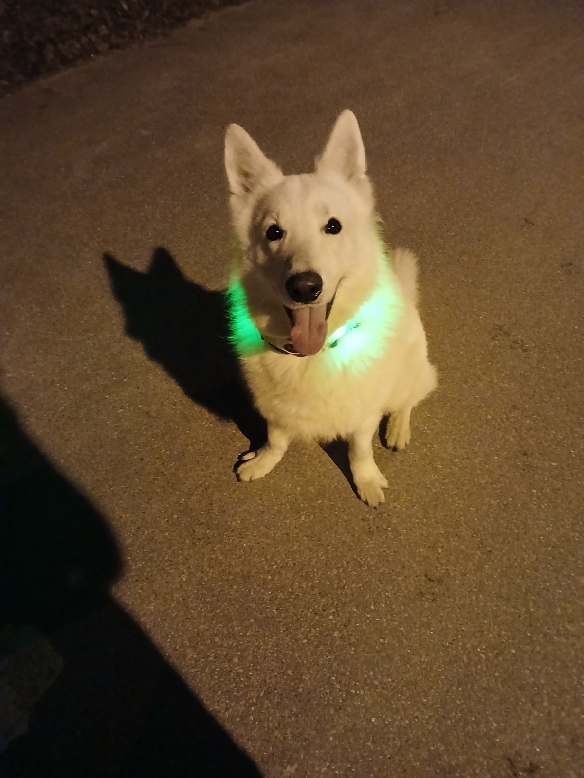 d45e9bdf-6cd7-4fb5-b489-92dbf6996c7c