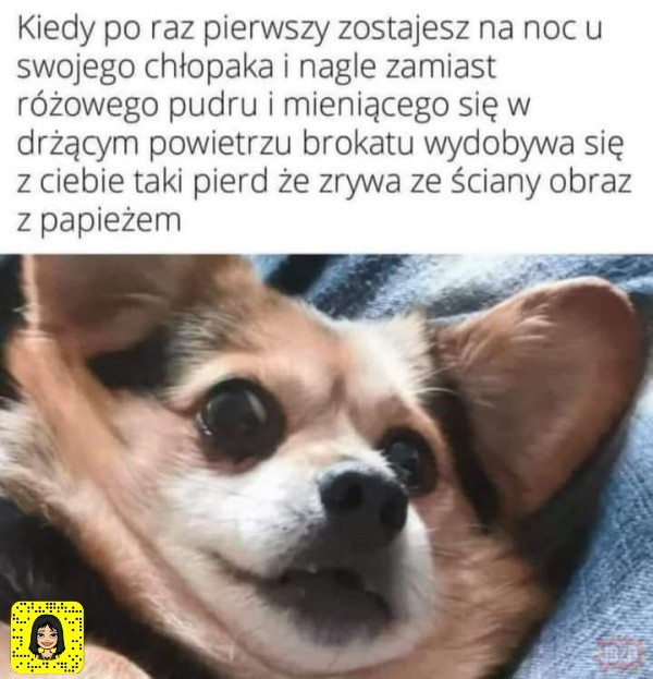 fe39c6e7-1c28-481c-8168-18e6c876153f