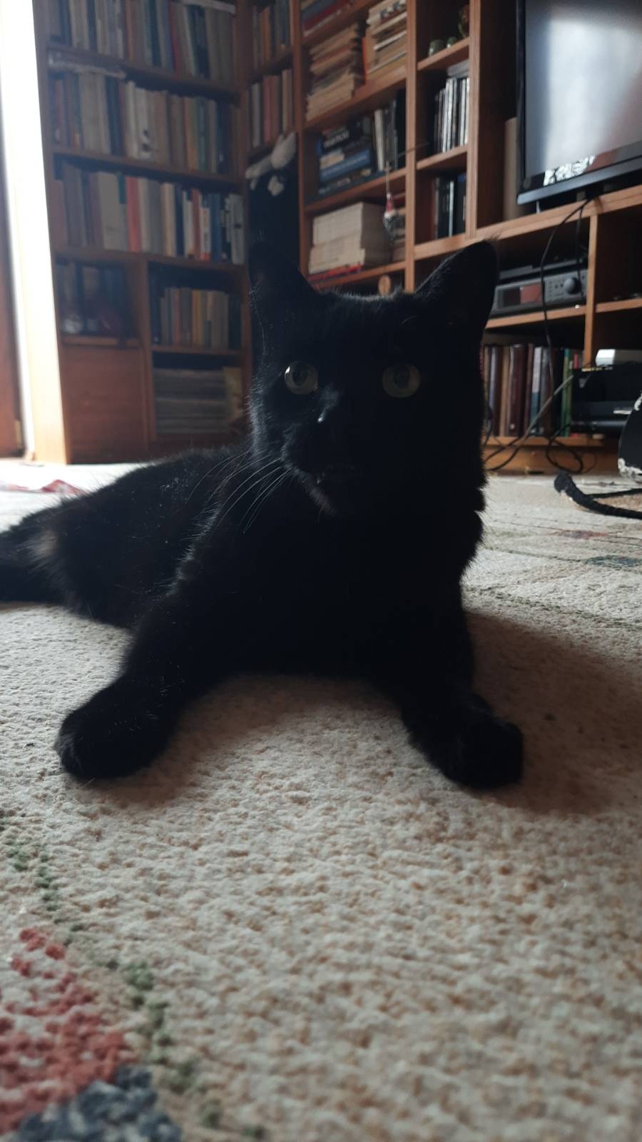 2ac5b61e-6c1f-4236-8cfc-e6473e9a60eb