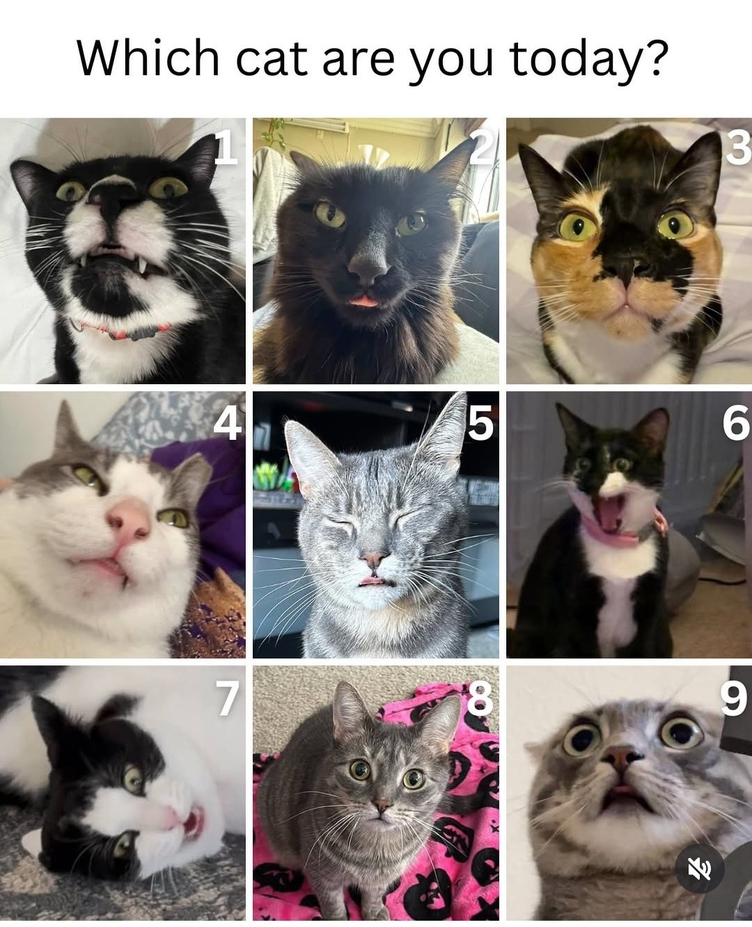 be2ef6ac-c467-494b-86e2-9b58a6796675