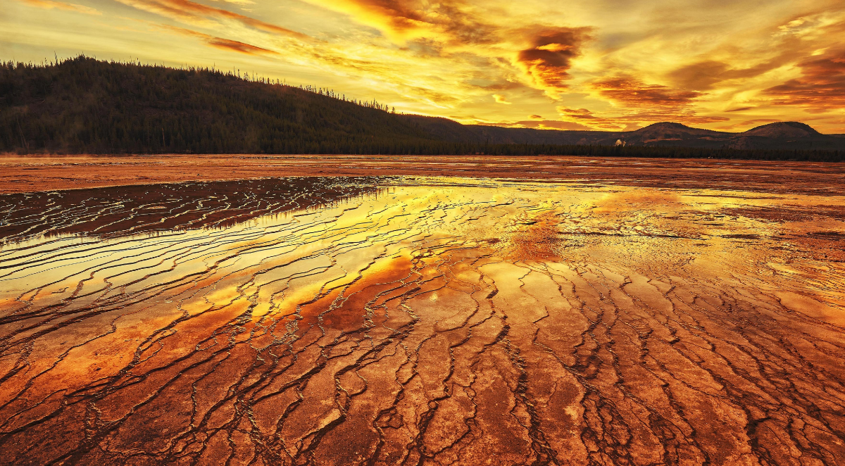 d7e6cf3e-290c-44bf-8227-9ce644b69cf5