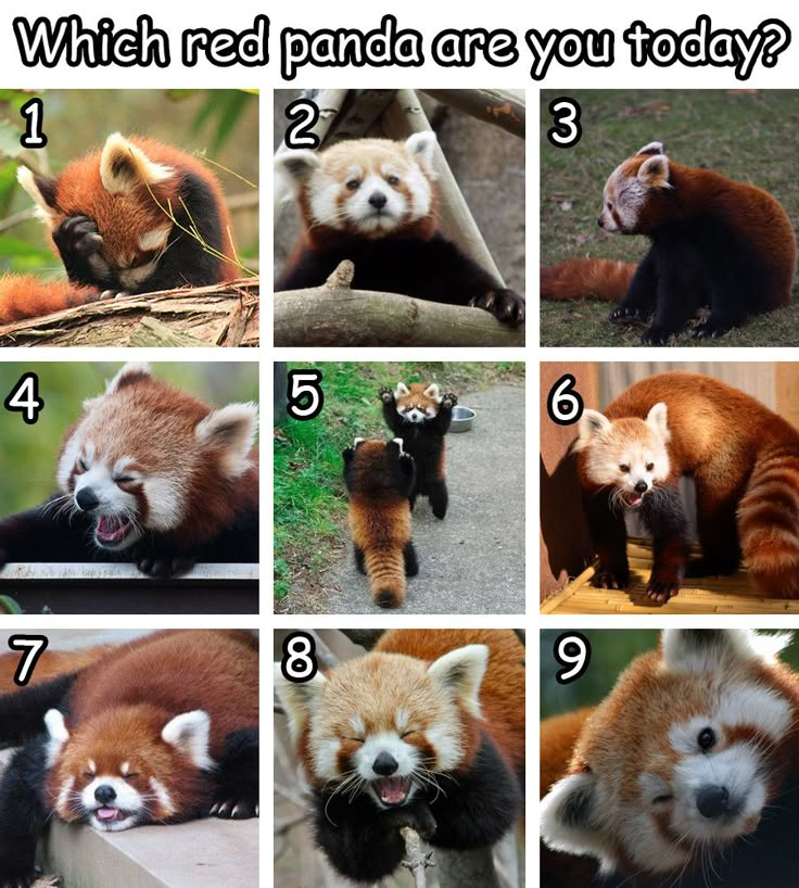 18111109-ae83-421c-92b2-d25f0b36b802