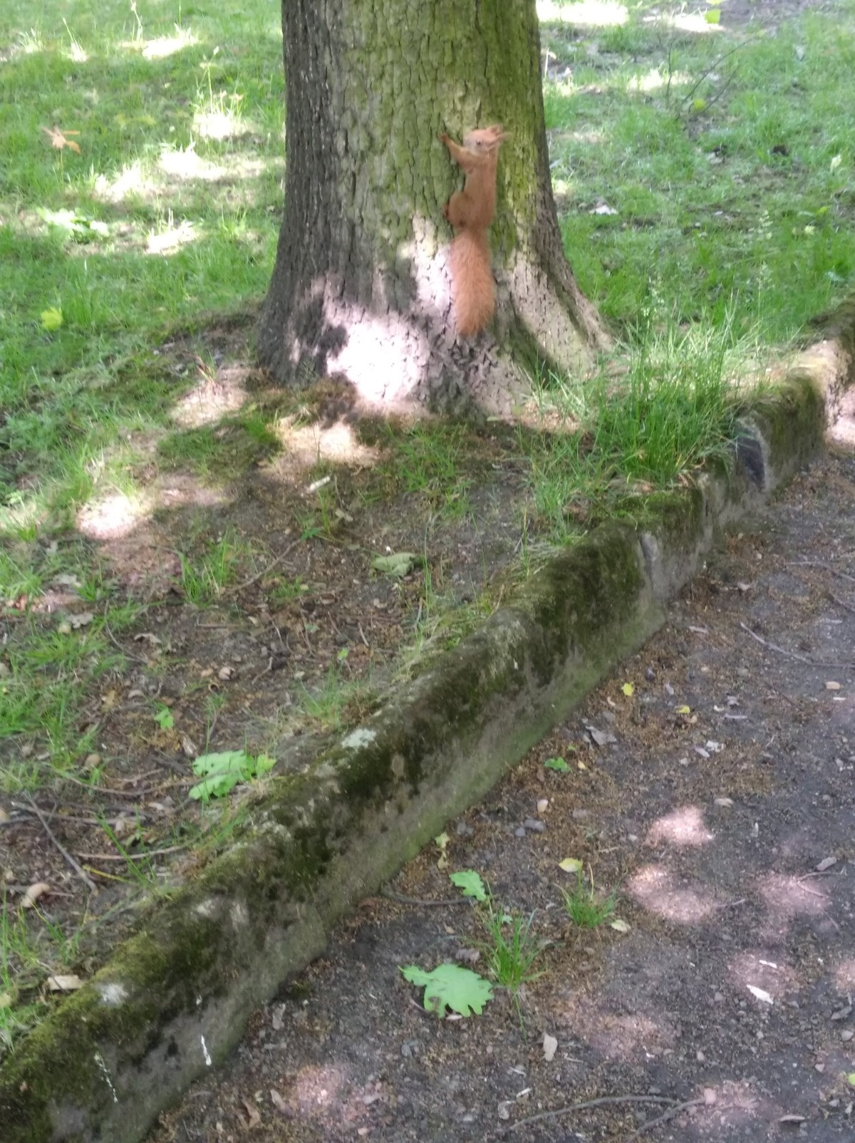 27c384ce-7096-45e5-9215-9c81d2b3465c