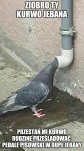 df418318-7ae3-43b2-b292-b967809df531